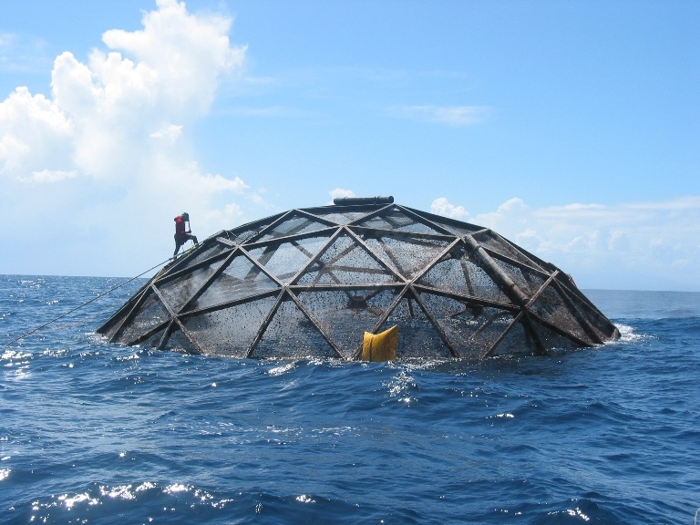 Aquapod cage system just above the surface