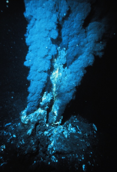 File:Hydrothermal vent.jpg